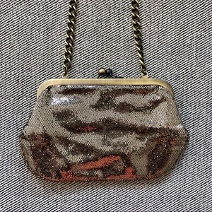 Express Clutch/Shoulder Bag